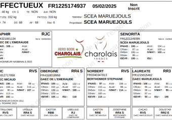 Capture d’écran 2026-02-20 165044