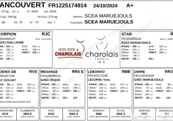 Capture d’écran 2026-02-20 165215